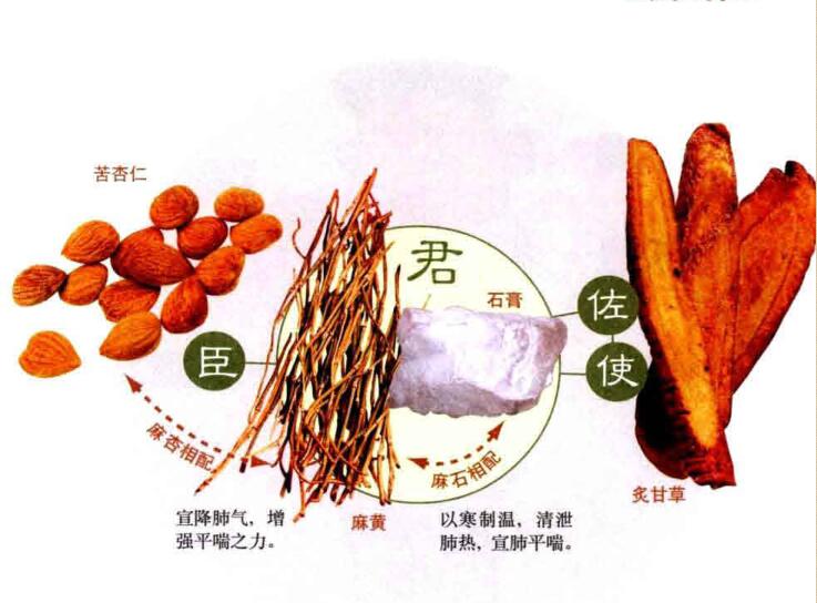 麻黄杏仁甘草石膏汤