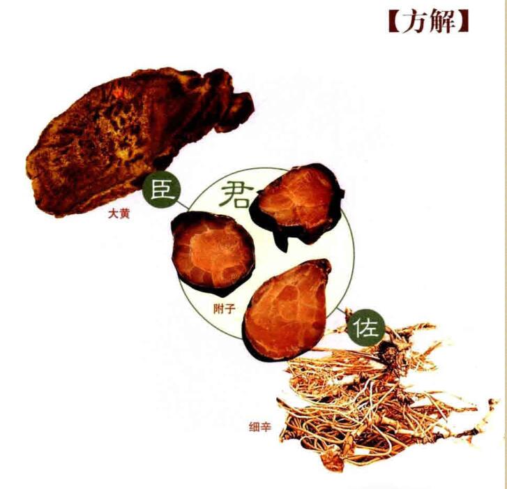 大黄附子汤方解