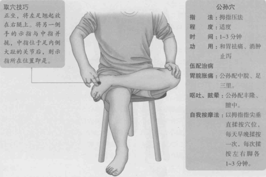 公孙的准确位置图