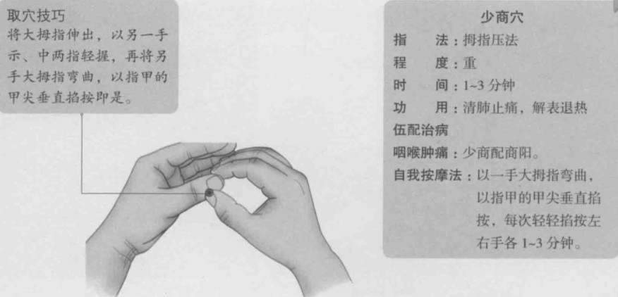 少商的准确位置图