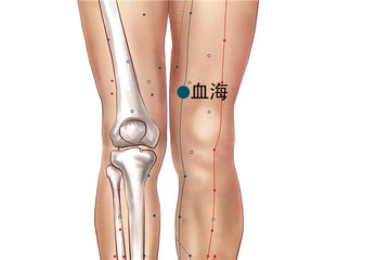 血海穴