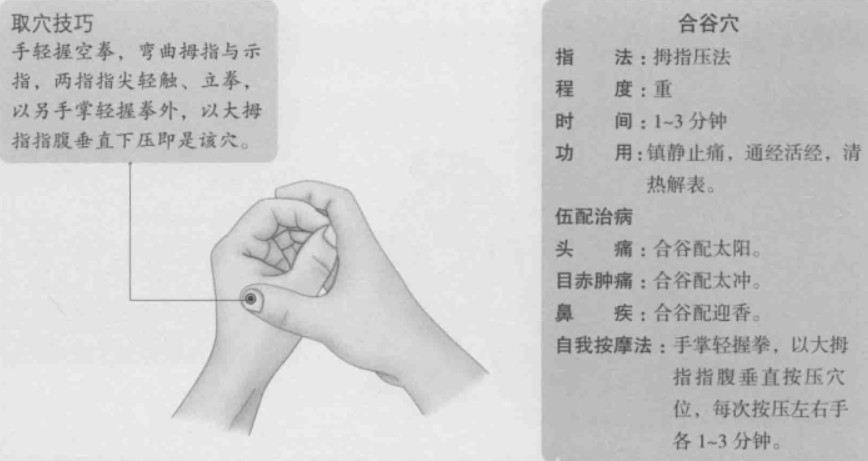 合谷的准确位置图