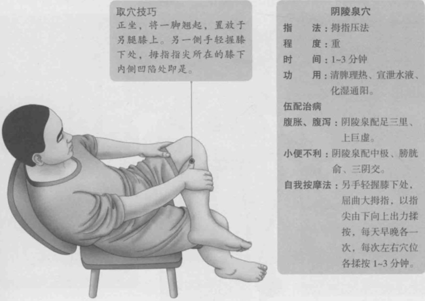 阴陵泉的准确位置图