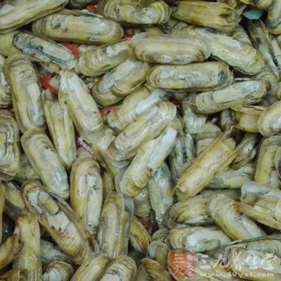 贝类中含有丰富的锌，可以帮助细胞再生，保持激素平衡，这些对头发的健康生长都至关重要