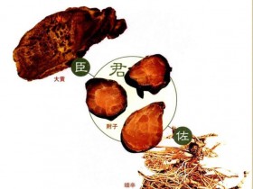 大黄附子汤的组成,功效,方解,临床应用