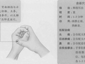 合谷的准确位置图片快速找法,合谷穴的作用和功效主治
