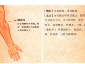 曲池穴的准确位置图