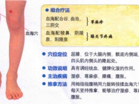 血海穴的准确位置图,功效与作用