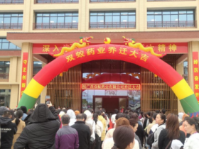 良辰吉日庆乔迁，共迎双蚁新发展