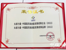 仲景宛西制药荣获“头部力量 · 中国医药高质量发展成果企业”奖