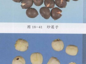 高脂血症的食疗方法,饮食食谱