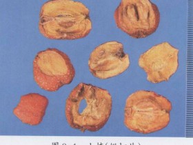 冠心病的食疗偏方大全