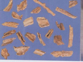 枸杞根的功效与作用