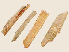 菌桂的功效与作用