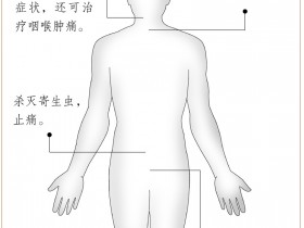 云实的功效与作用