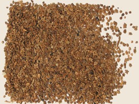 景天的功效与作用