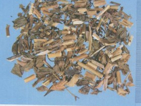 佩兰（兰草）的功效与作用