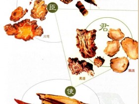 败毒散的组成功效与主治