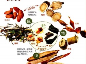 桑菊饮的方剂组成及功效