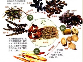 银翘散的组成功效与主治