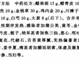 疏利清化汤治疗急、慢性胆囊炎