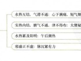 大陷胸汤的组成与功效