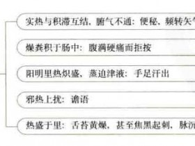 大承气汤的组成和功效主治