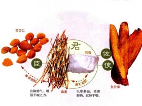 麻黄杏仁甘草石膏汤的方歌与功效