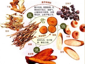 小青龙汤的组成及功效方解