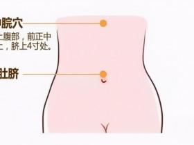 中脘的准确位置图,中脘穴的功效与作用