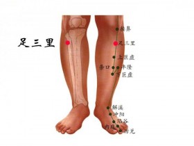 足三里的取穴方法,艾灸足三里的功效与作用