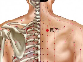 风门的准确位置图,风门穴的功效与作用