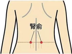 肾俞的准确位置图,肾俞穴的功效与作用
