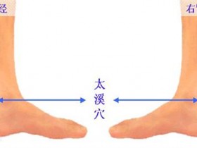 太溪的准确位置图,太溪穴的功效与作用
