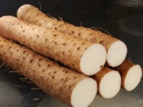 肺结核的食疗方法,民间治疗肺结核偏方