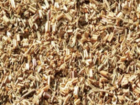 天名精的功效与作用