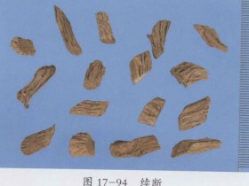 续断的功效与作用