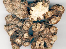 蘼芜的功效与作用及禁忌