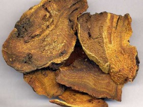 急性细菌性痢疾的治疗偏方