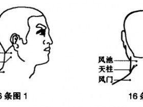 预防感冒的小常识,小方法,小妙招,防治感冒的偏方大全