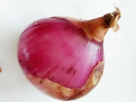 治疗耳鸣的偏方：洋葱治疗耳鸣的方法