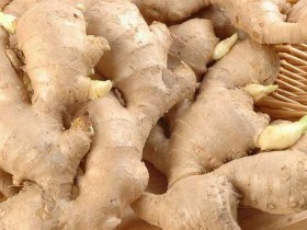 生姜治脱发有用吗,为什么生姜可以防脱发,生姜治脱发偏方