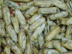 生发的食物有哪些,生发食疗偏方大全