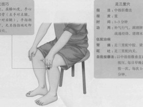 足三里的准确位置图,足三里穴的功效与作用