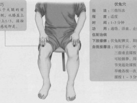 伏兔的准确位置图,伏兔穴的功效与作用