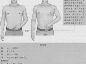 归来的准确位置图,归来穴的功效与作用