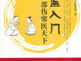 《中医入门:一部伤寒医天下》