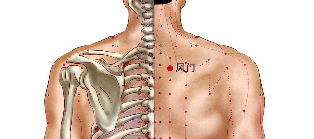 风门的准确位置图