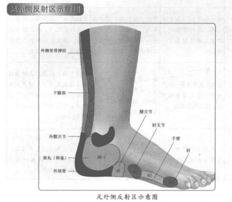 足外侧反射区示意图