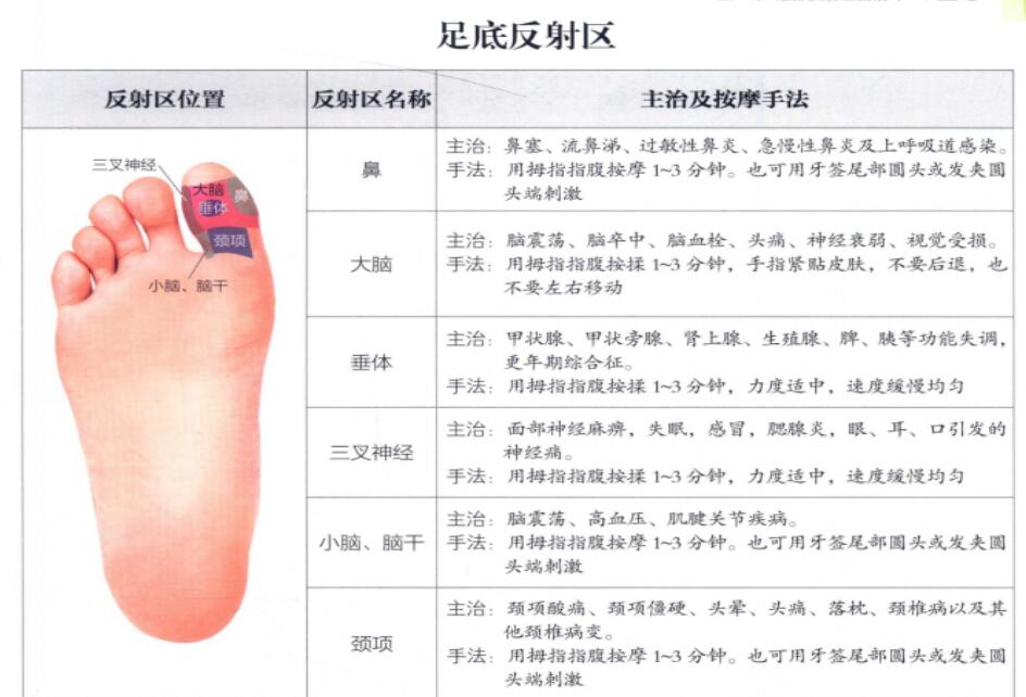 足底反射区位置及按摩手法